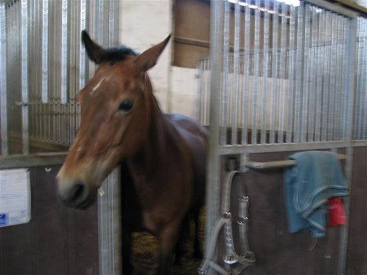 {{currentPhoto.altText}} billede {{currentPhoto.number}}