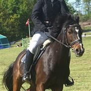 Anden særlig race Fandango *DØD* )':