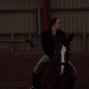 Dansk Varmblod ronja