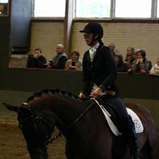 Knabstrupper Nymands Zidney