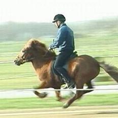 Islænder Jarl fra Nøddegården 