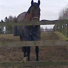 Oldenborg Hedemarkens Atlet. R.I.P 