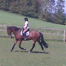 Oldenborg Hedemarkens Atlet. R.I.P 