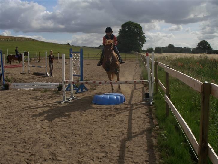 Anden særlig race Valentins Sirocco R.I.P - Ridelejr. <33 elsker dig miin <33 billede 17