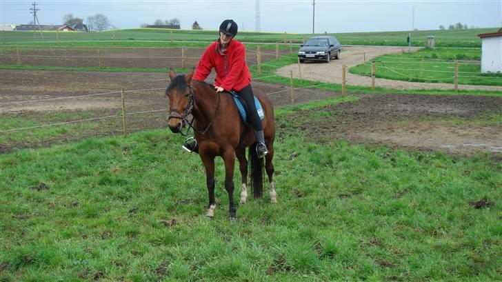 Traver Gacrux Date R.I.P billede 16