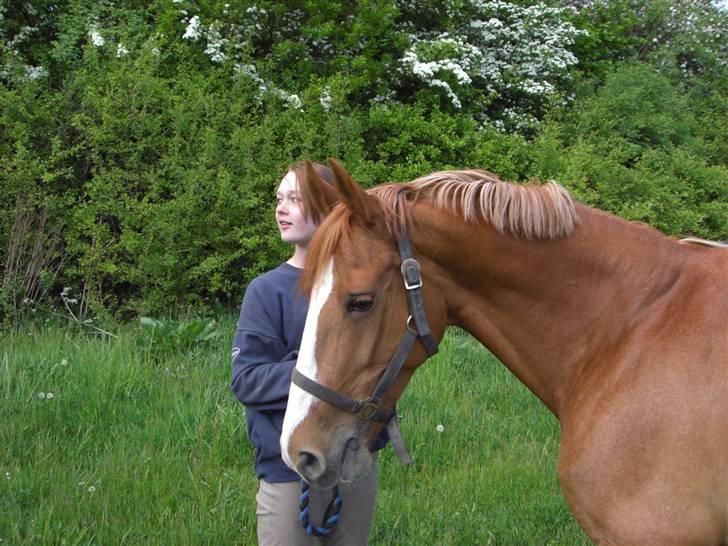 Frederiksborg Stella *RIP* :'( billede 7