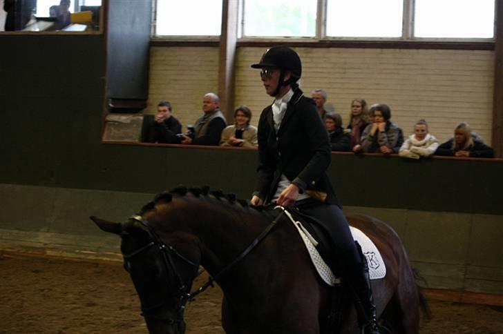 Knabstrupper Nymands Zidney billede 1