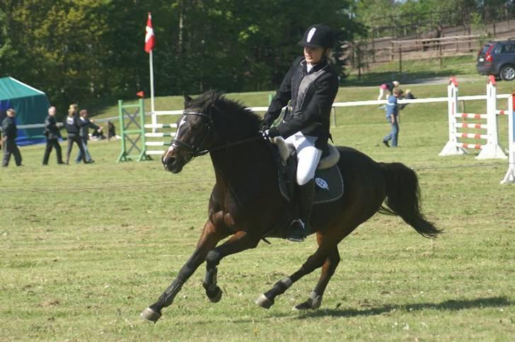 Anden særlig race Fandango *DØD* )': - Morsø 2007 igen igen (: Fuld galop (: billede 3