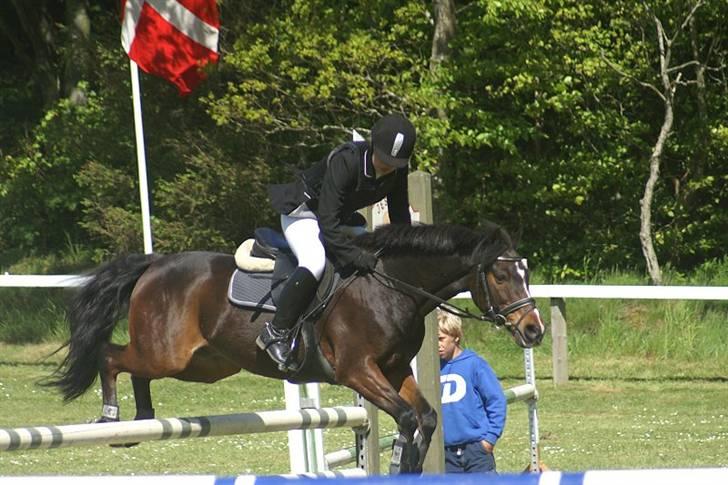 Anden særlig race Fandango *DØD* )': - Morsø 2007 Vi vandt 3 klasse og fik en 2 plads. (: Mit sidste stævne på ham (: billede 4