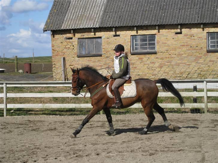 Anden særlig race Baksmindes Landini(Solgt) - tjek lige den smukke, med sin nye super ejer:-) billede 8