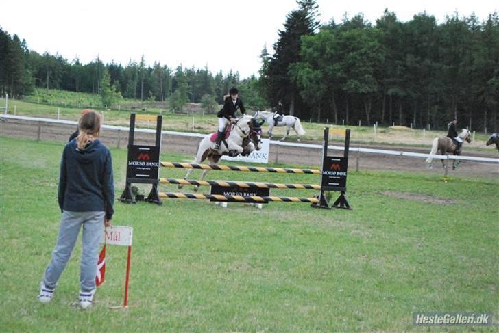 Pinto Bounty  - Vores første LB billede 2