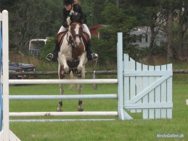 Pinto Bounty  - Jump! xD  billede 5