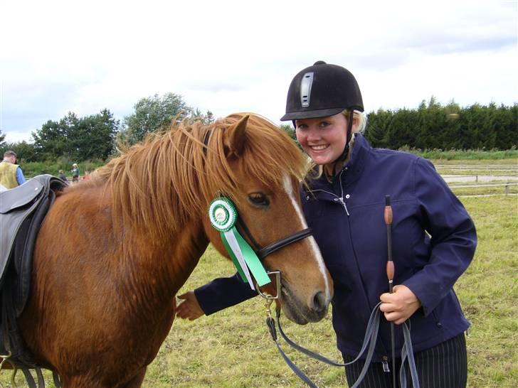 Islænder Jarl fra Nøddegården  - Tvekamp Geysir - faxi. Mit første stævne med Jarl - vi blev nr. 3 i T.5  billede 6