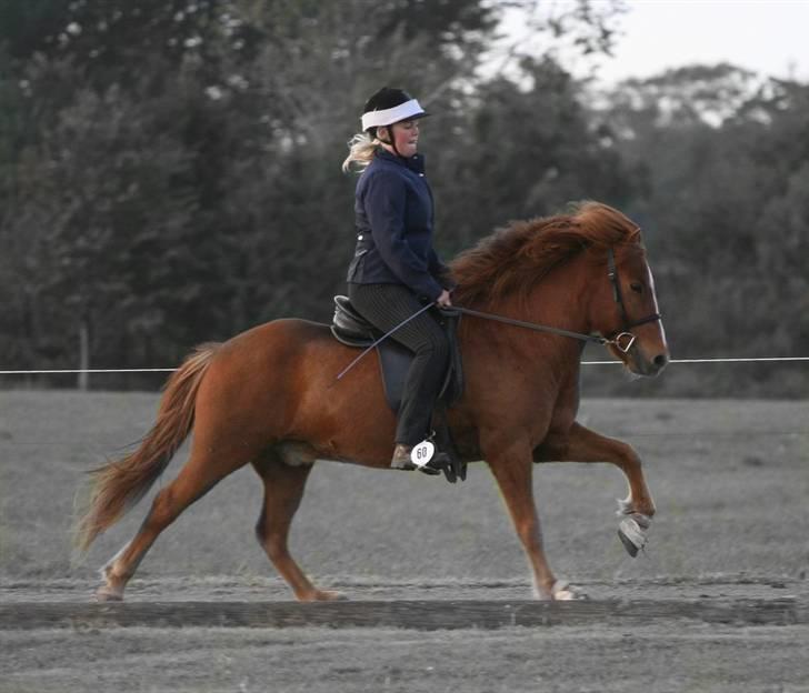 Islænder Jarl fra Nøddegården  - Galop til blossi stævne ´07 billede 8