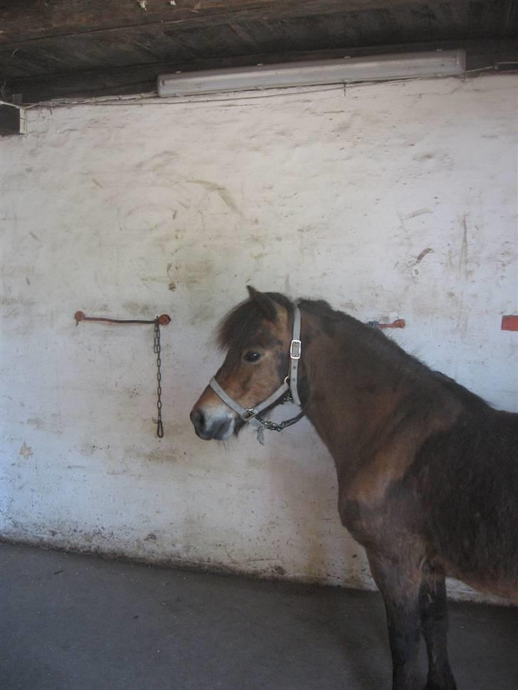 Anden særlig race Ibrahim <3.,- - Du er Dejlig. Hehe billede 3