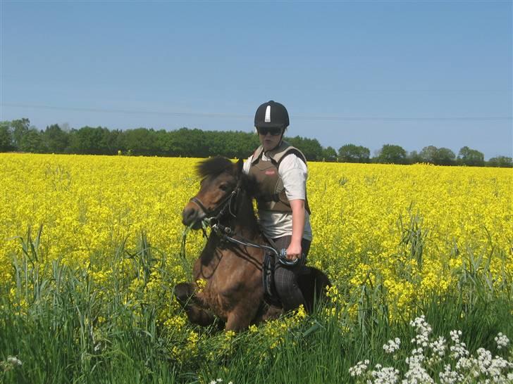 Anden særlig race Ibrahim <3.,- - Ibrahim Som Stejler med Sabrina..  billede 5
