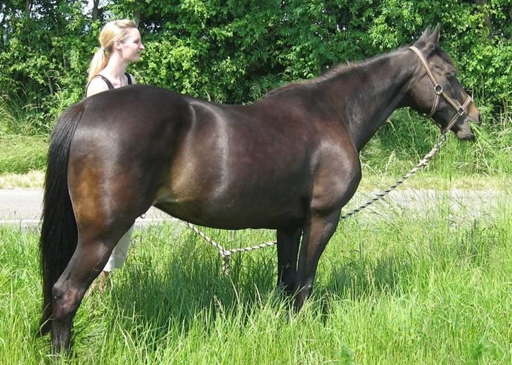 Traver Lizette Lund †090608† - Fik lige øje på noget.... billede 12