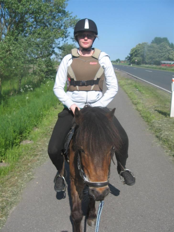 Anden særlig race Ibrahim <3.,- - Mig som ride Ibber. billede 7