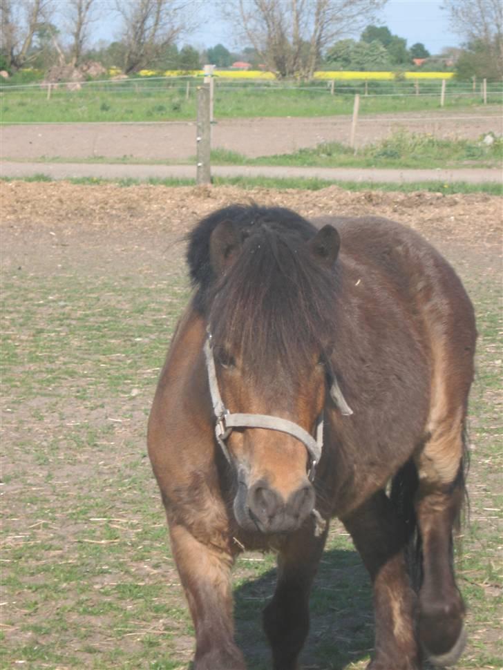 Anden særlig race Ibrahim <3.,- - Når Han Kommer til Mig! Jaa Hehe <3 billede 10