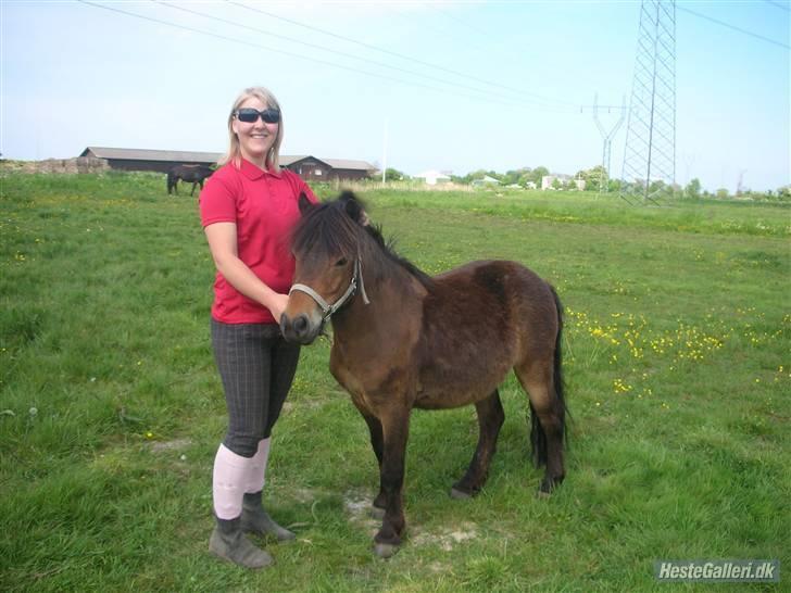 Anden særlig race Ibrahim <3.,- - Sabrina og Ibber på Folden. Hun henter Ham. billede 12