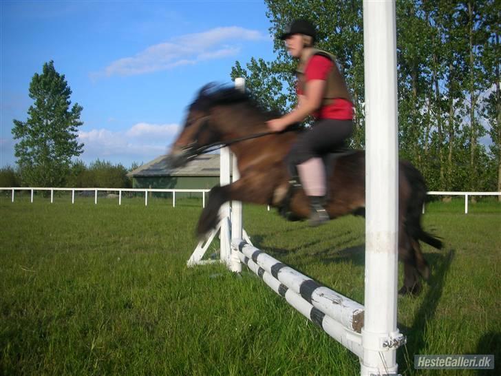 Anden særlig race Ibrahim <3.,- - Sabrina Springer for føste gang på Ibber. Han er God til det der! billede 13