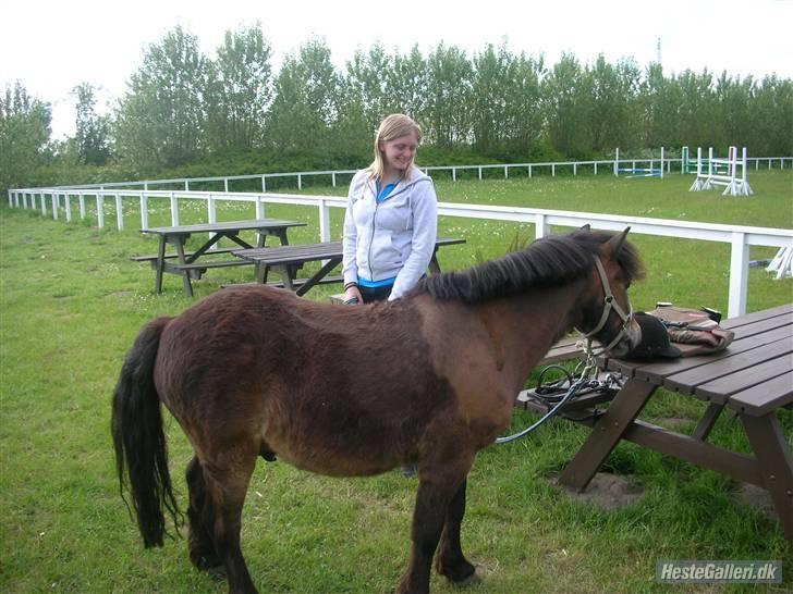 Anden særlig race Ibrahim <3.,- - Mig og Ibber på Seden rideklub. billede 14