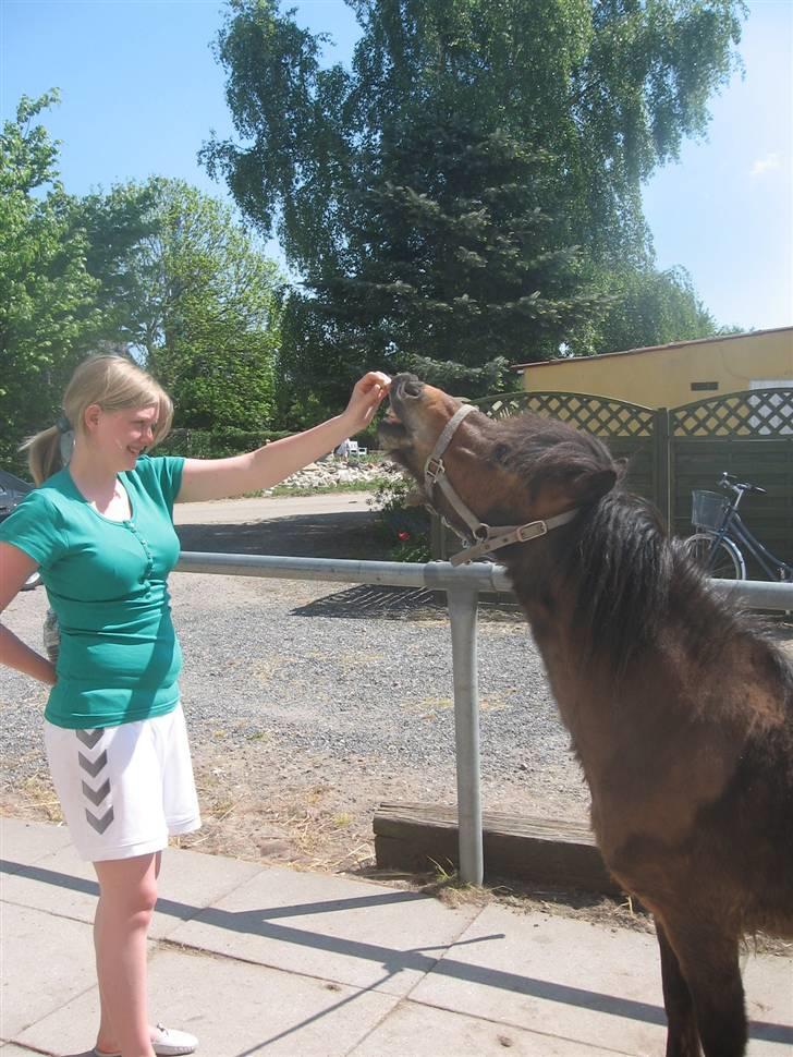 Anden særlig race Ibrahim <3.,- - Mum Giv mig noget Mad! ik´ for højt Jeg er jo ik´ Så Stor!  billede 15
