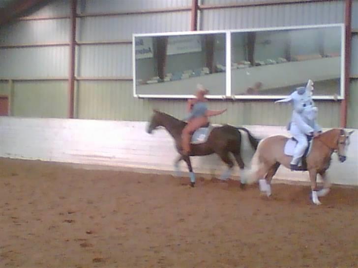 Haflinger Meike - solgt -  - haflinqer (barbien) &&´ haffelaffen= perfect billede 14