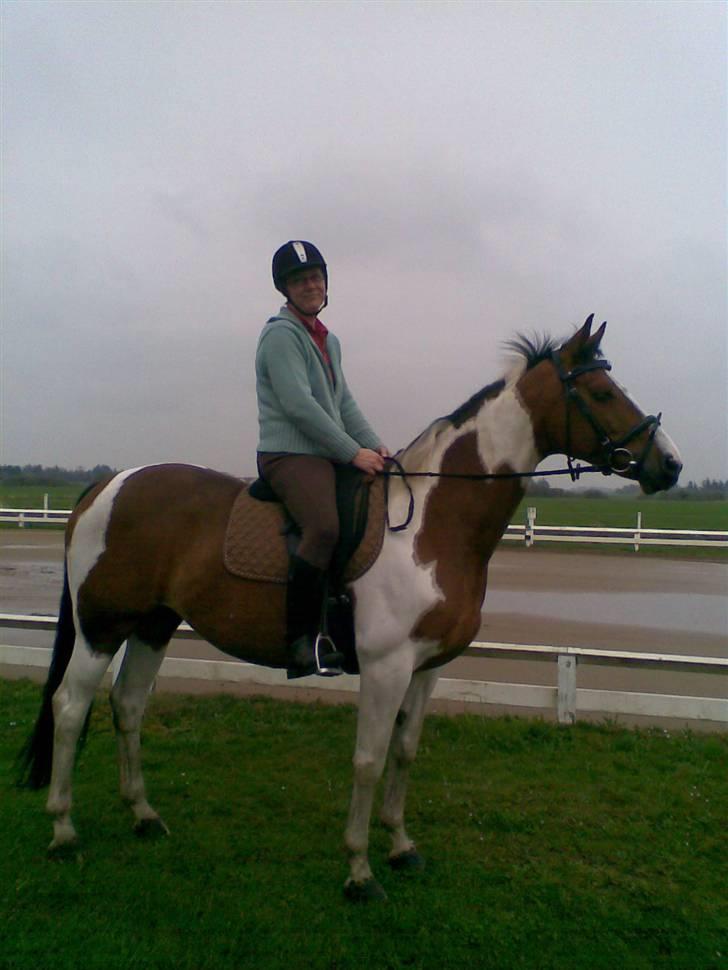 Hollandsk Varmblod Riviera AFLIVET :'( billede 10