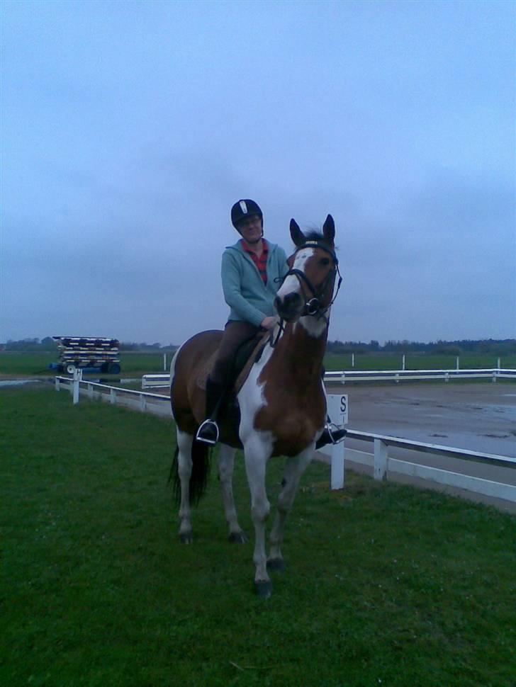 Hollandsk Varmblod Riviera AFLIVET :'( billede 11