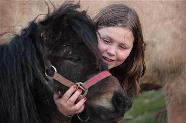 Anden særlig race asta - smiiiiiill billede 12