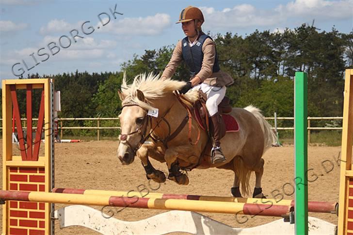 Palomino Max Motor  - 3.plads i MB Vestbirk rideklub 208.05.17 billede 18