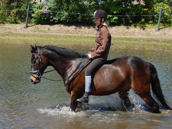 New Forest Prins Albert - Prins og jeg bader, han elsker og bade ;) <3 foto: ? billede 6