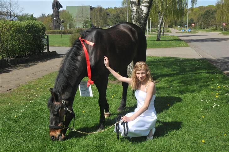 New Forest Prins Albert - Fra min konfirmation<3 Foto: Jens billede 7