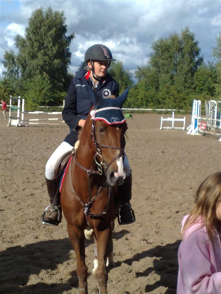 New Forest Ullah (solgt) - ullah & jeg til præmie overrakkelse igen :) haha det sker tit. billede 5