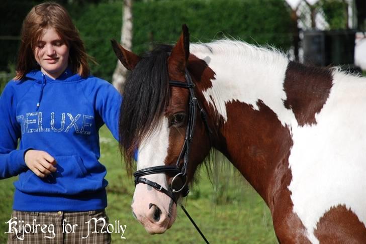 Tinker Egehøjs Maj - 20#  billede 20