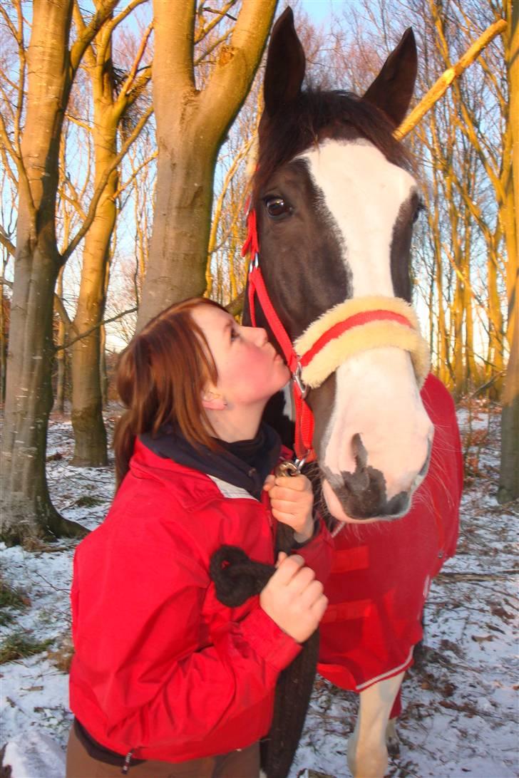 Pinto Max  SOLGT - Pys i skoven <3 billede 5