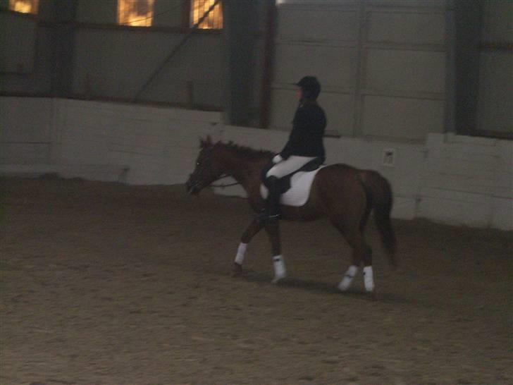 Sportsaraber (A) Zag  - lige efter vi havede redet lc1:D billede 13