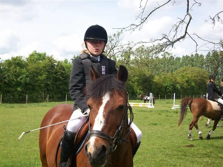 Anden særlig race Bjarke  - min lille skatii<3 Min handi mund :D billede 8