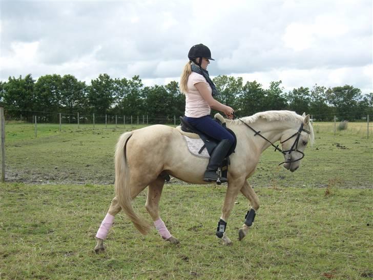 Anden særlig race golden hero SOLGT :'( <3  - <3 billede 17