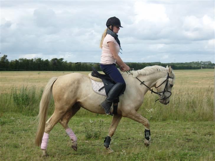 Anden særlig race golden hero SOLGT :'( <3  - <3 billede 18