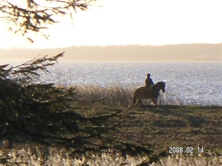 Oldenborg Hedemarkens Atlet. R.I.P  billede 5