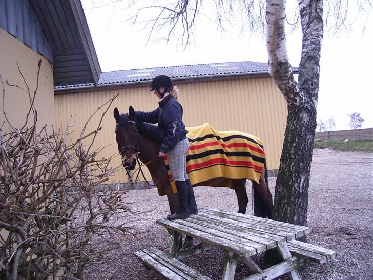 Oldenborg Hedemarkens Atlet. R.I.P  billede 8