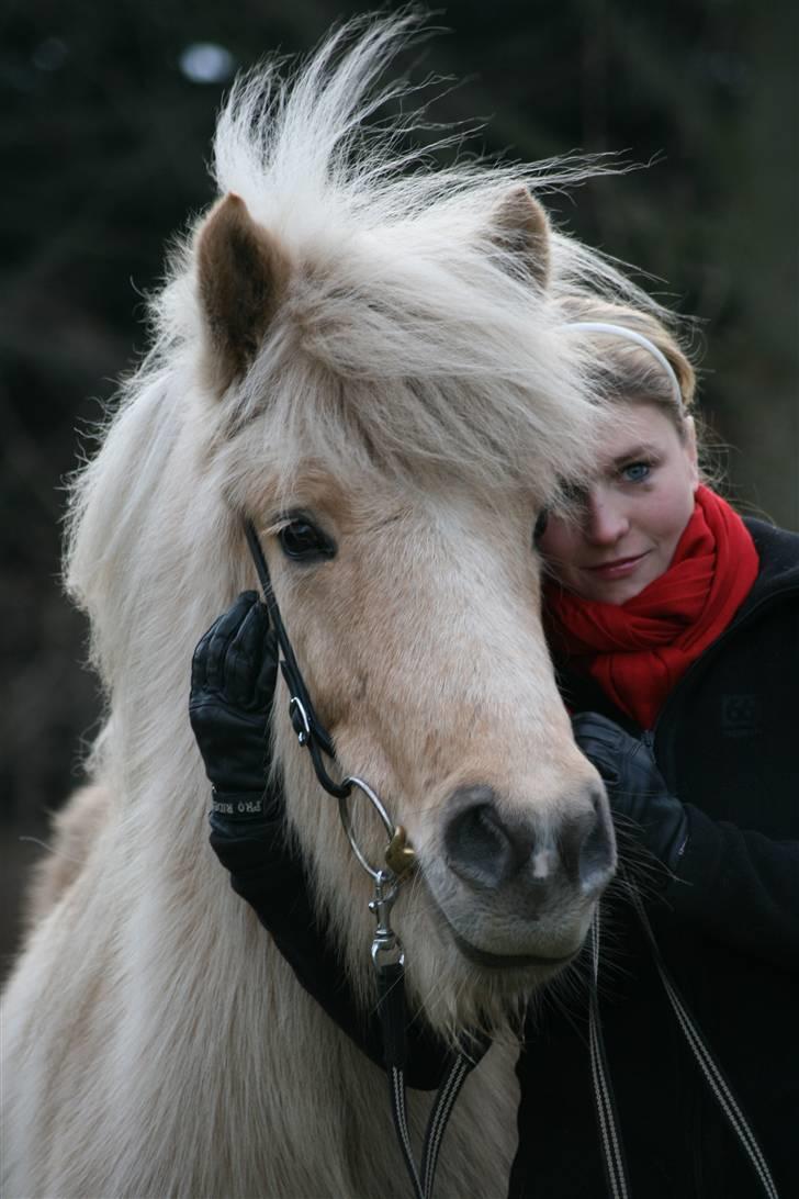 Islænder Dögg Fra Toftemosen - Mig og Dögg, Jeg elsker bare den hest helt op til skyerne. Foto: Thea jørgensen billede 5