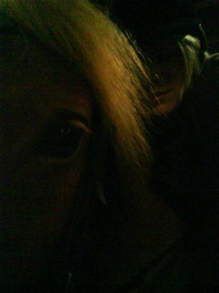 Haflinger Fusentast - du har forandret mit liv. billede 8