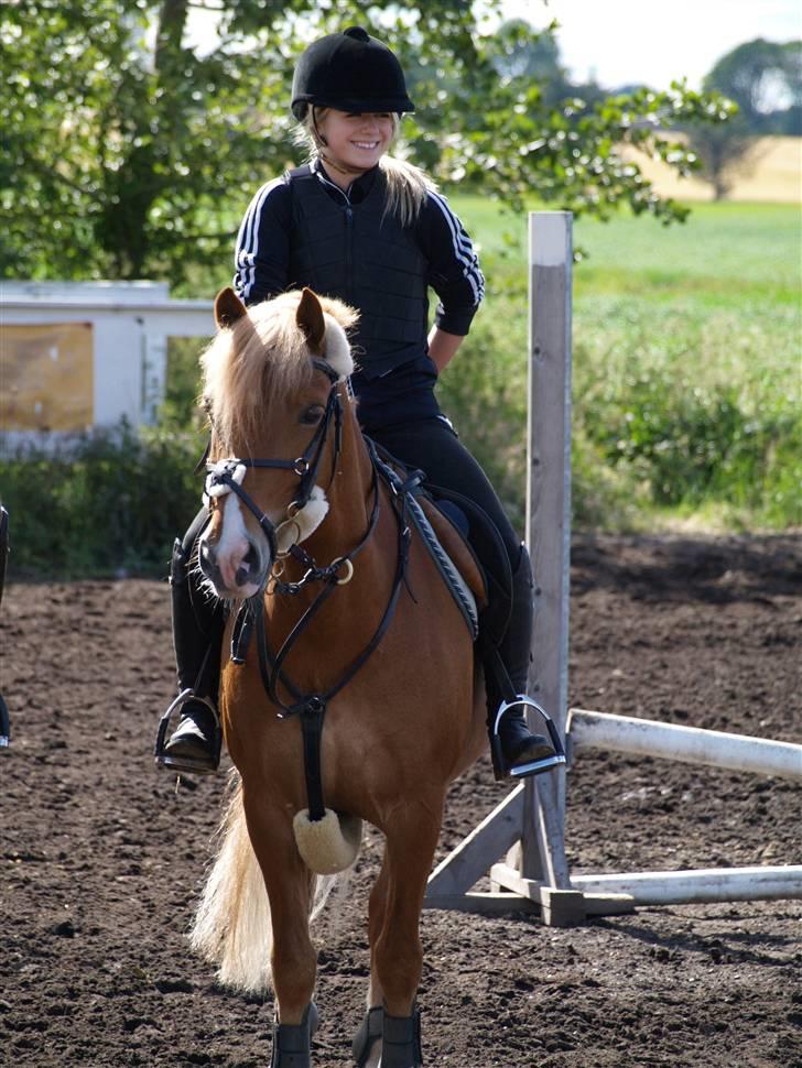 Haflinger Fusentast - Forever and always. billede 9