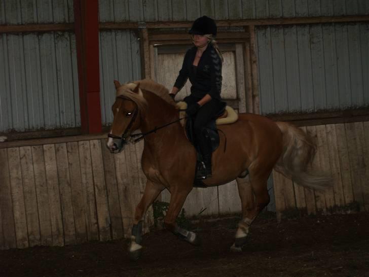 Haflinger Fusentast - Tear me down, they can't take you out of my thoughts. billede 11