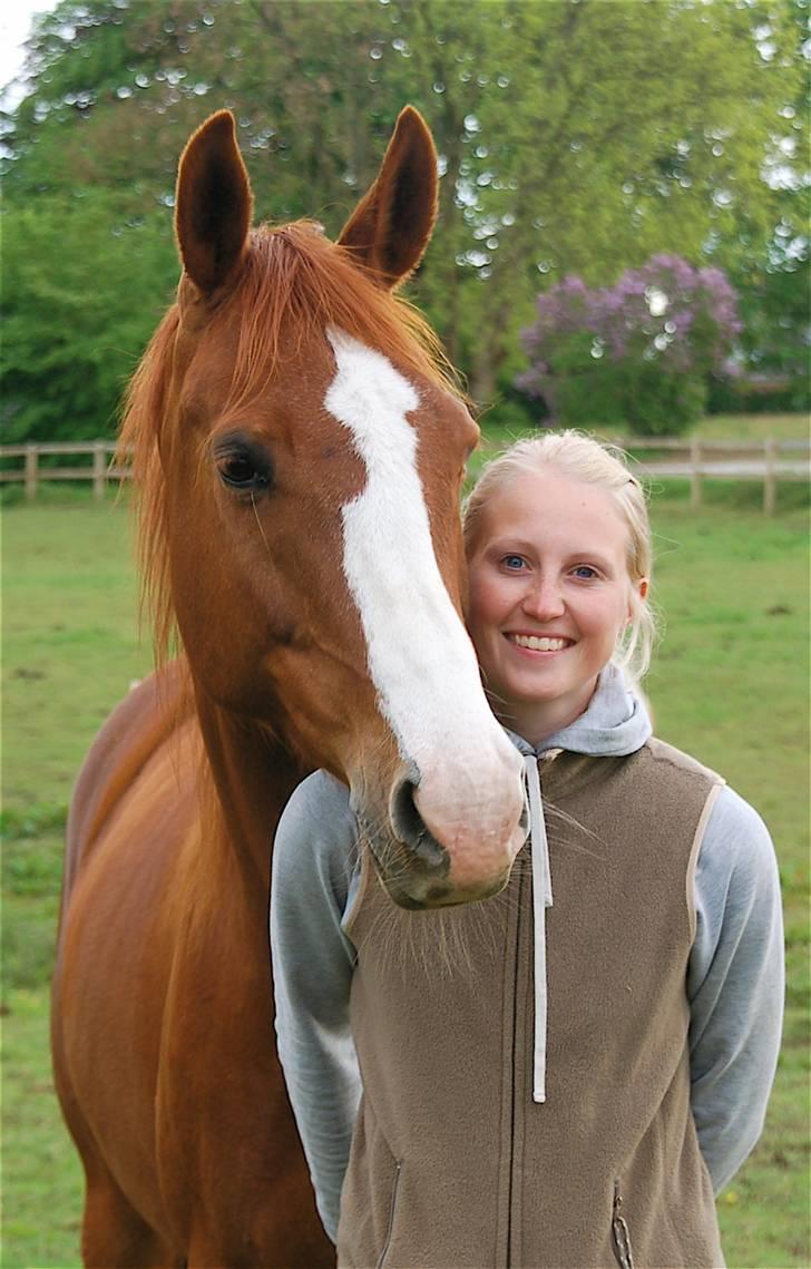 Fuldblod (XX) Angelique - R.I.P. Angel billede 13