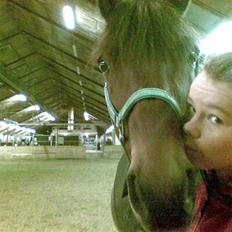 New Forest Mac Fly R.I.P