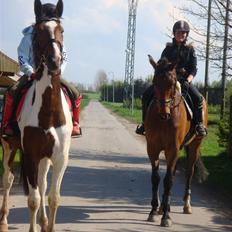 Pinto Hoelgaard´s Ferrari Enzo 